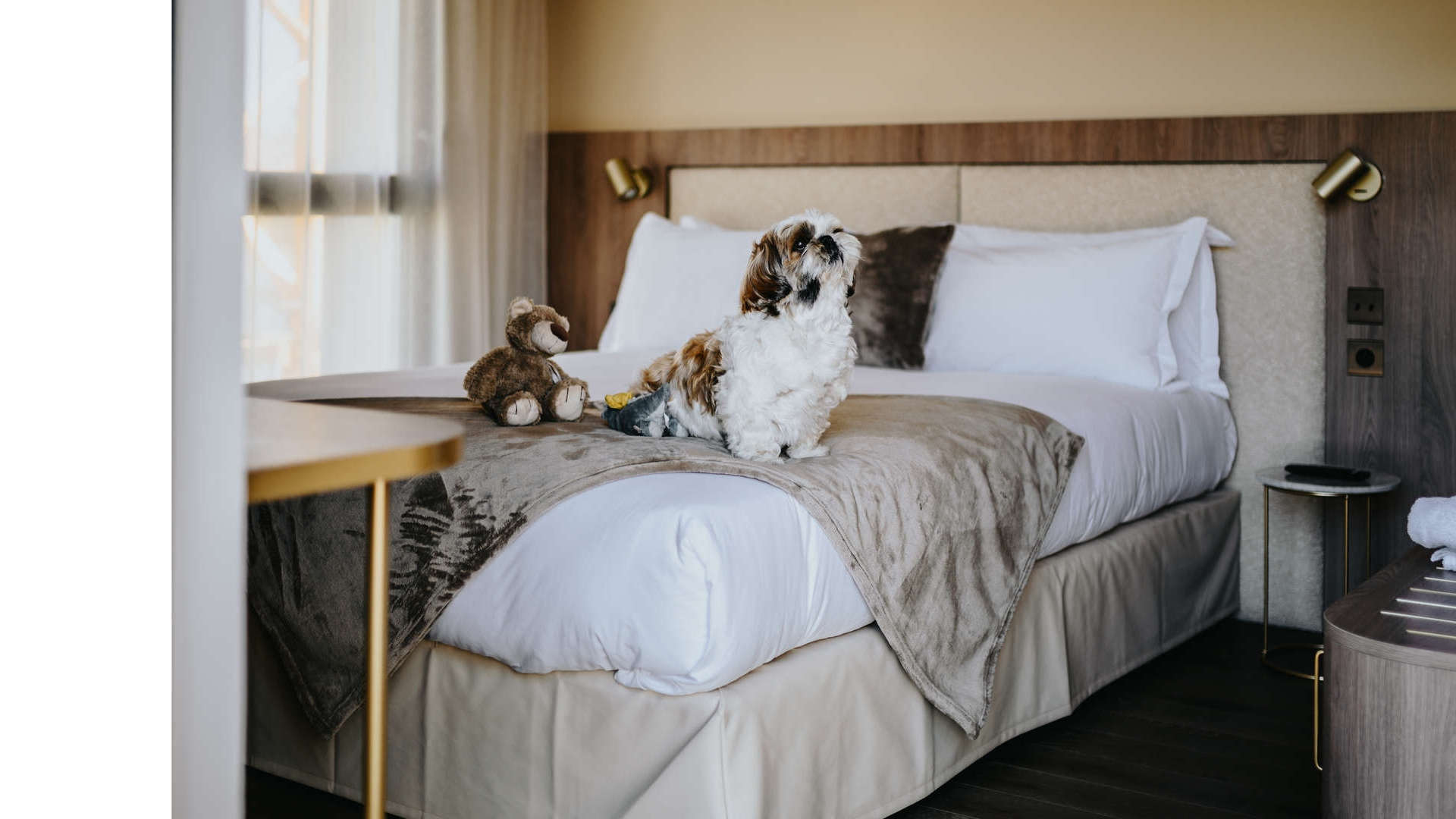 chien sur le lit dans la chambre de notre hôtel Keystone dans le quartier de la confluence à lyon